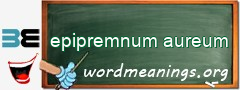 WordMeaning blackboard for epipremnum aureum